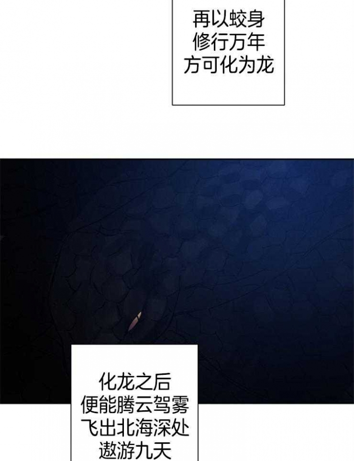 《珊瑚食者》漫画最新章节第37话免费下拉式在线观看章节第【4】张图片