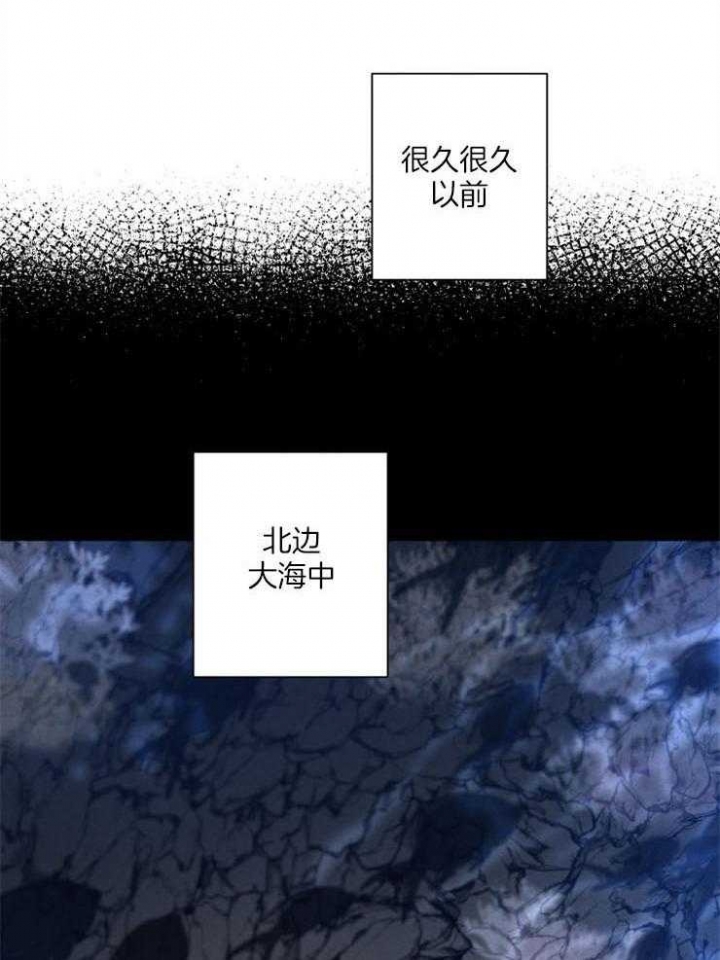 《珊瑚食者》漫画最新章节第54话免费下拉式在线观看章节第【3】张图片