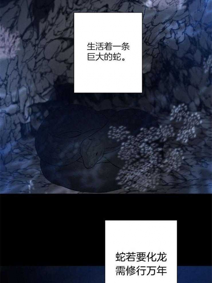 《珊瑚食者》漫画最新章节第54话免费下拉式在线观看章节第【4】张图片