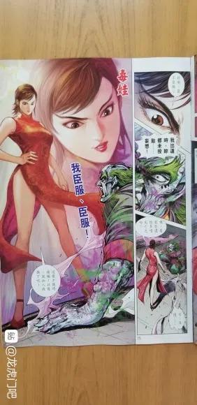 《新著龙虎门》漫画最新章节第1067卷免费下拉式在线观看章节第【17】张图片