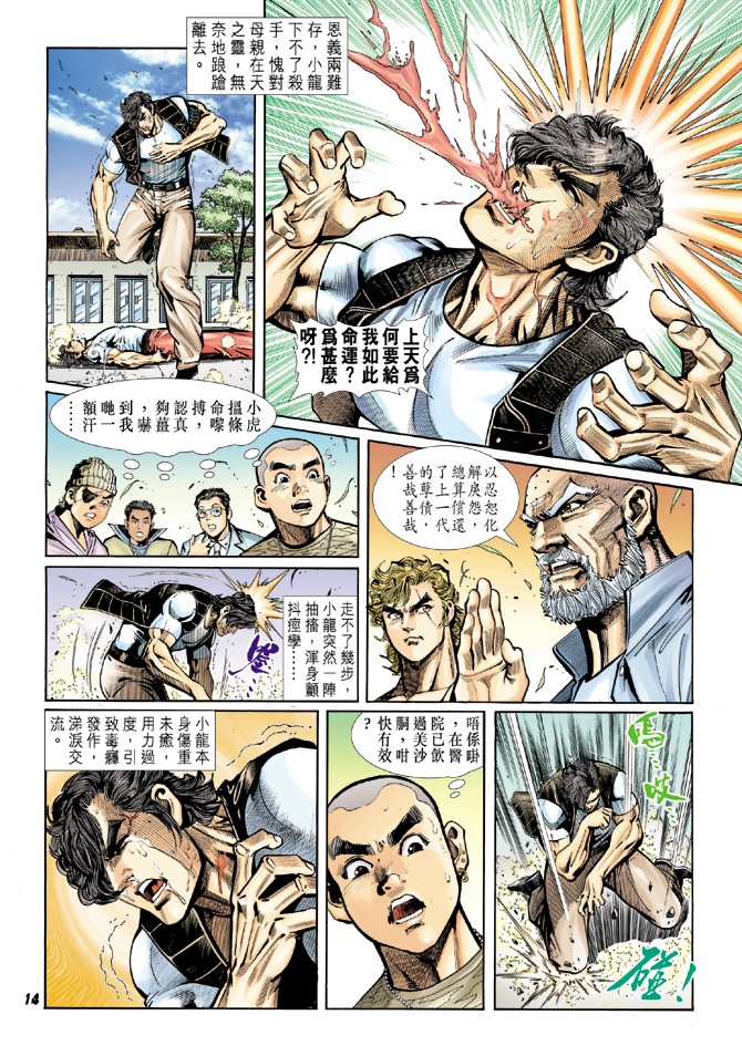 《新著龙虎门》漫画最新章节第16回免费下拉式在线观看章节第【13】张图片