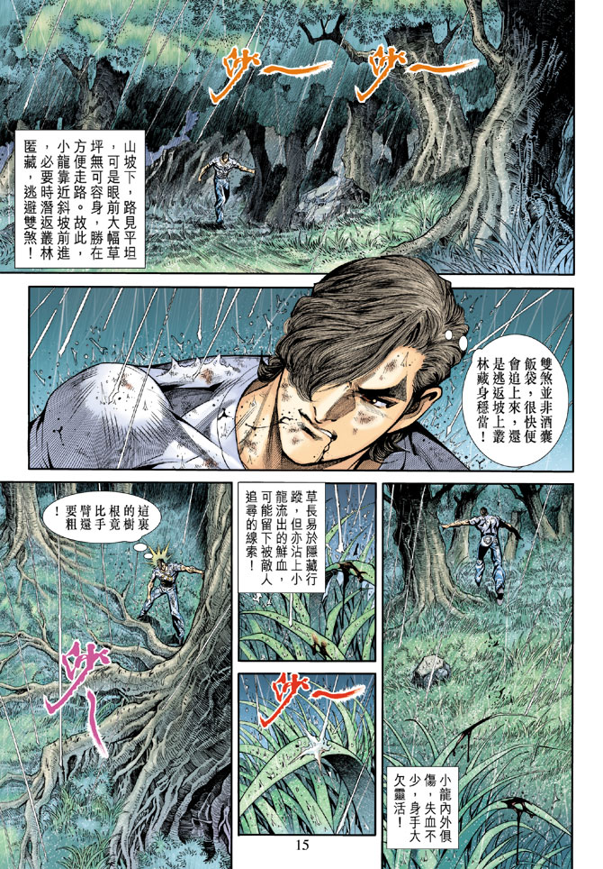 《新著龙虎门》漫画最新章节第177回免费下拉式在线观看章节第【15】张图片