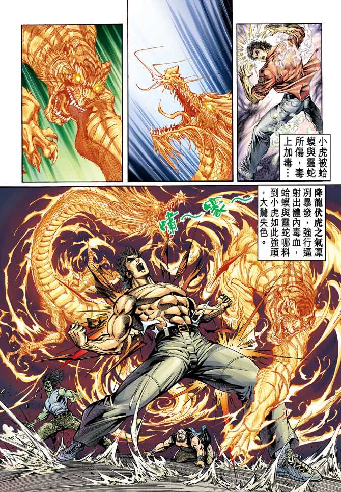 《新著龙虎门》漫画最新章节第64回免费下拉式在线观看章节第【15】张图片