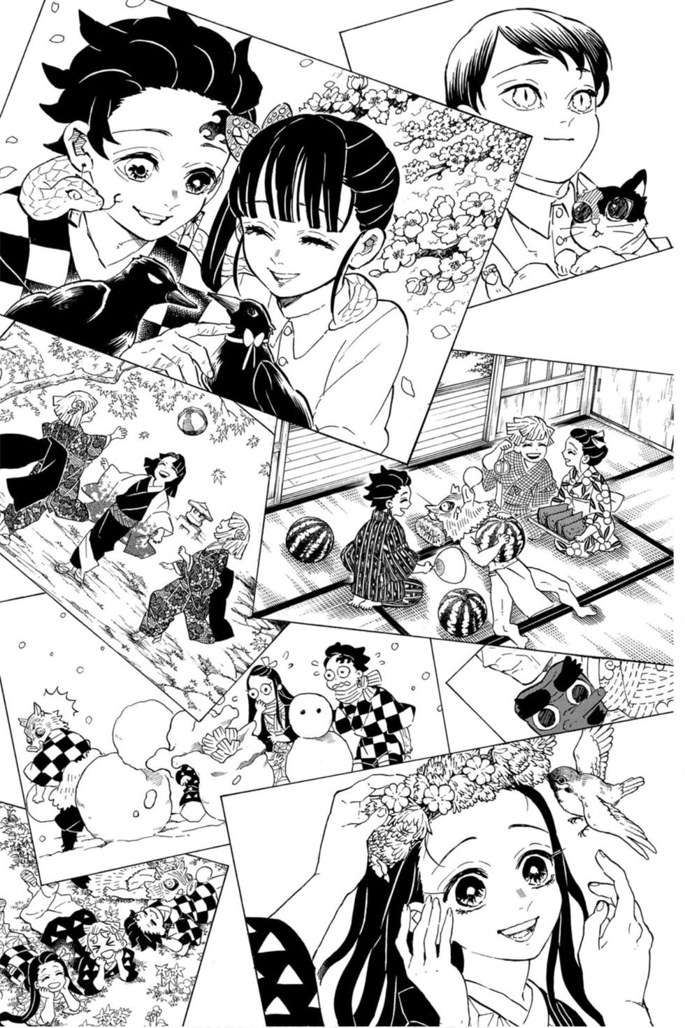 《鬼灭之刃》漫画最新章节第23卷免费下拉式在线观看章节第【220】张图片