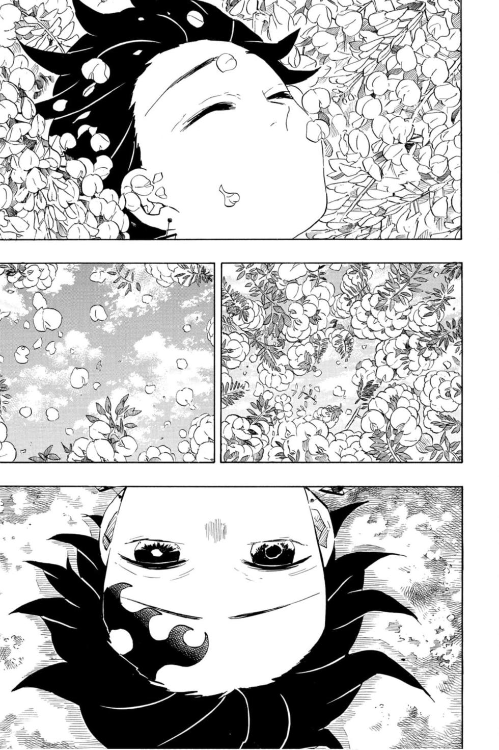 《鬼灭之刃》漫画最新章节第23卷免费下拉式在线观看章节第【144】张图片