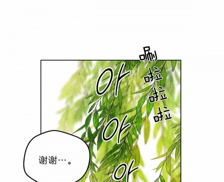 《柳树浪漫史》漫画最新章节第75话免费下拉式在线观看章节第【11】张图片