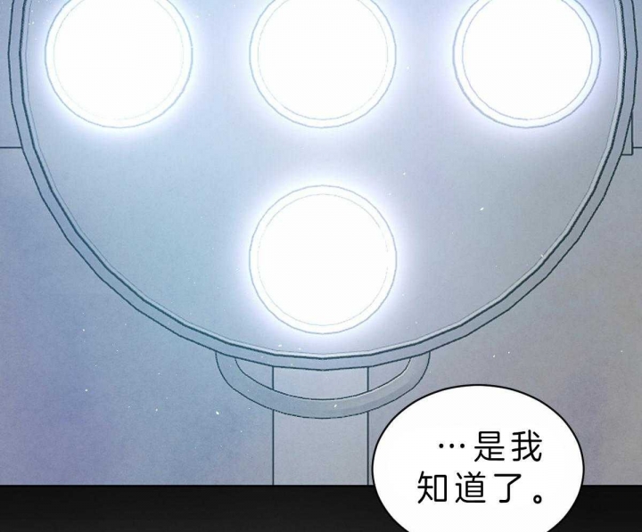 《柳树浪漫史》漫画最新章节第61话免费下拉式在线观看章节第【44】张图片