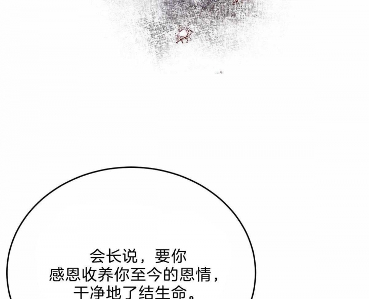 《柳树浪漫史》漫画最新章节第94话免费下拉式在线观看章节第【13】张图片