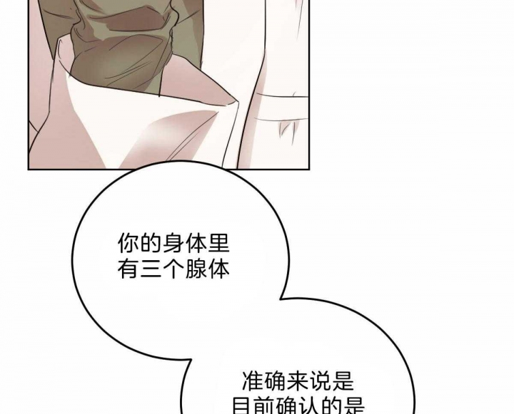 《柳树浪漫史》漫画最新章节第89话免费下拉式在线观看章节第【15】张图片