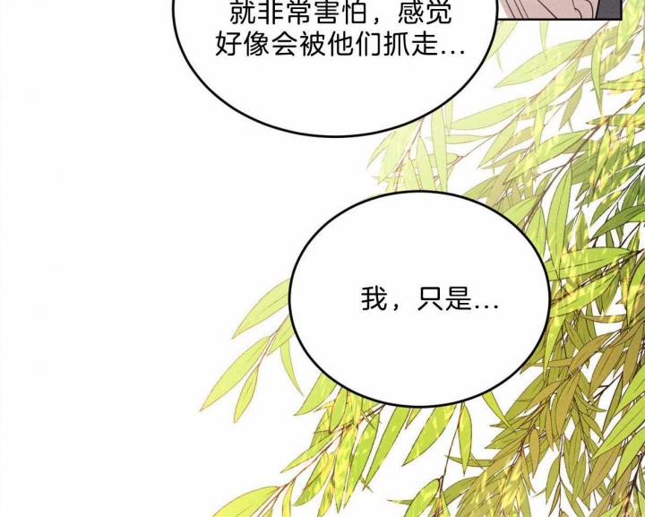 《柳树浪漫史》漫画最新章节第83话免费下拉式在线观看章节第【46】张图片