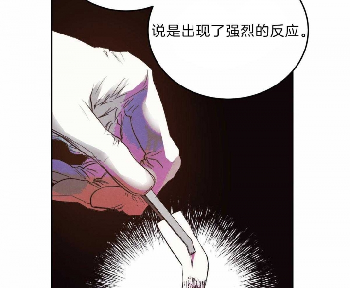 《柳树浪漫史》漫画最新章节第110话免费下拉式在线观看章节第【11】张图片