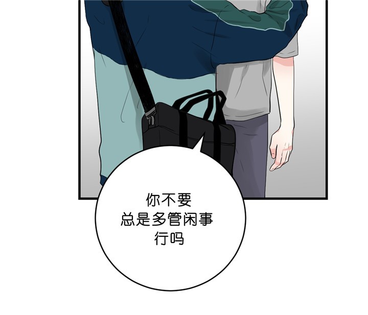 《柳树浪漫史》漫画最新章节第30话免费下拉式在线观看章节第【2】张图片