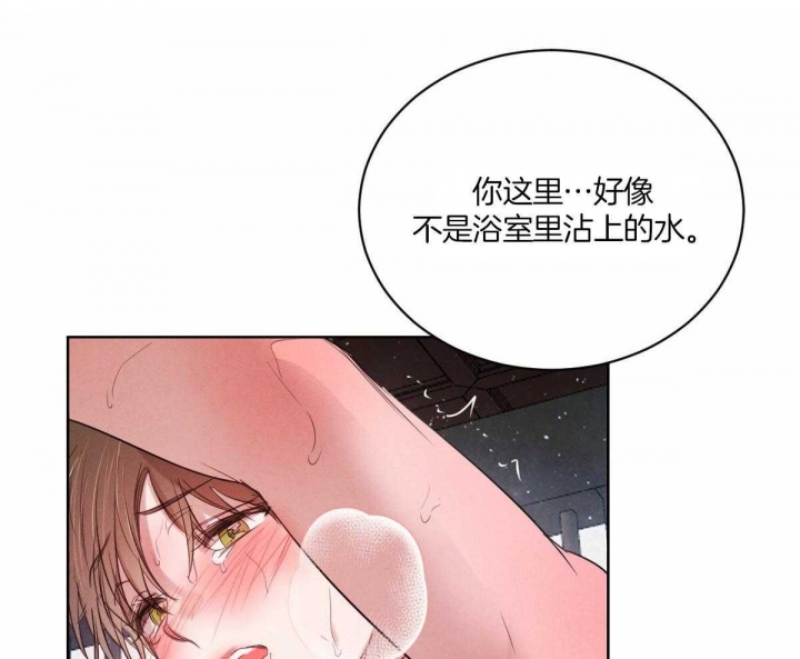 《柳树浪漫史》漫画最新章节第77话免费下拉式在线观看章节第【21】张图片