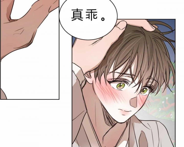 《柳树浪漫史》漫画最新章节第60话免费下拉式在线观看章节第【22】张图片