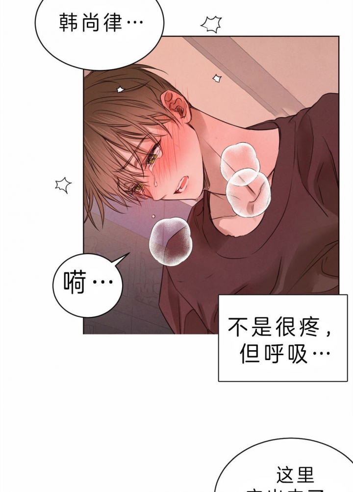 《柳树浪漫史》漫画最新章节第56话免费下拉式在线观看章节第【2】张图片