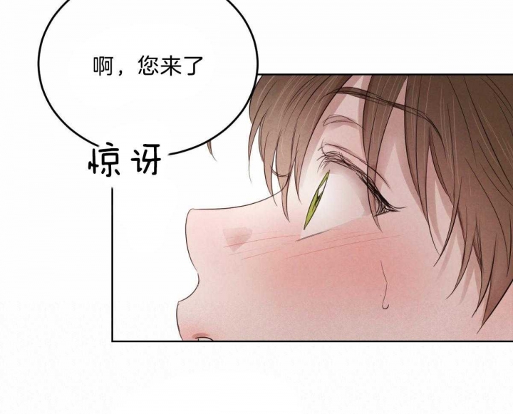 《柳树浪漫史》漫画最新章节第89话免费下拉式在线观看章节第【21】张图片