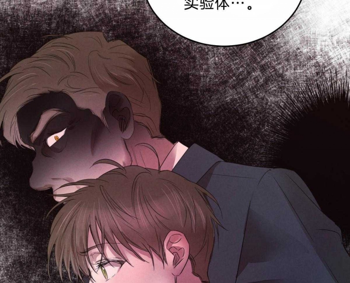 《柳树浪漫史》漫画最新章节第99话免费下拉式在线观看章节第【9】张图片