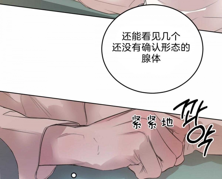 《柳树浪漫史》漫画最新章节第89话免费下拉式在线观看章节第【17】张图片