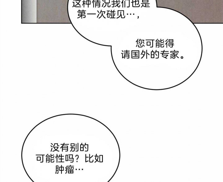 《柳树浪漫史》漫画最新章节第89话免费下拉式在线观看章节第【41】张图片