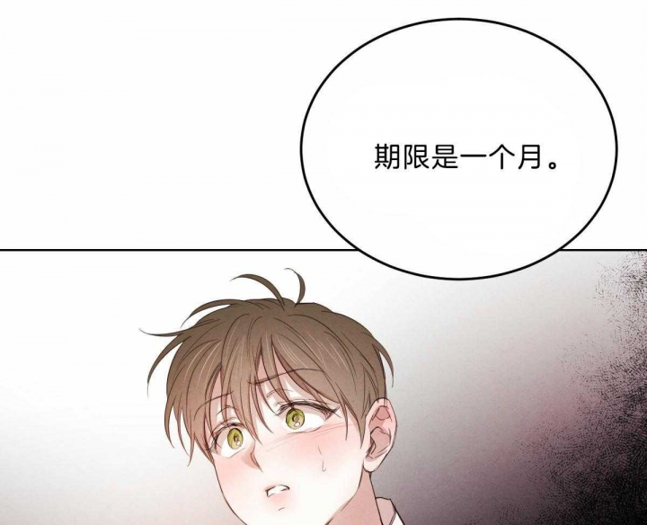 《柳树浪漫史》漫画最新章节第94话免费下拉式在线观看章节第【16】张图片