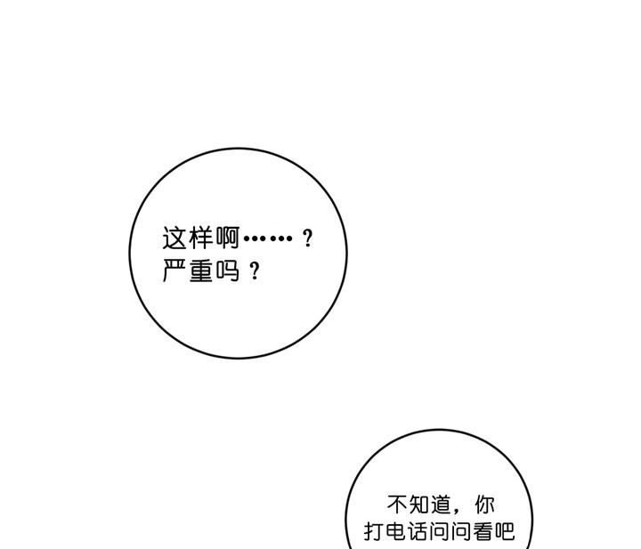 《柳树浪漫史》漫画最新章节第29话免费下拉式在线观看章节第【1】张图片