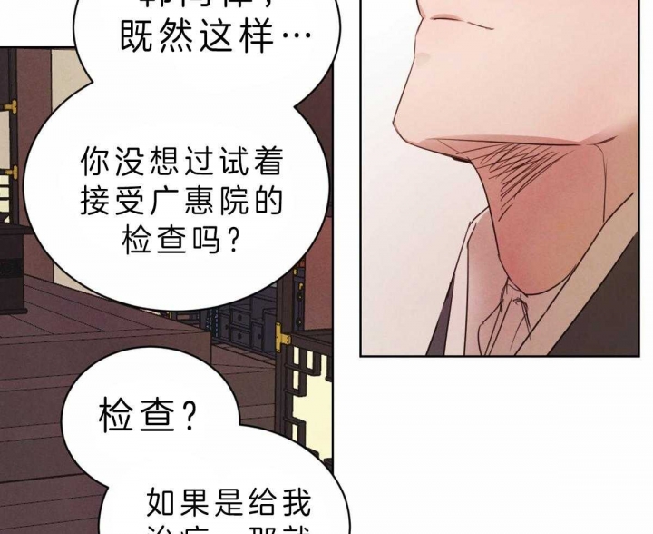 《柳树浪漫史》漫画最新章节第62话免费下拉式在线观看章节第【14】张图片