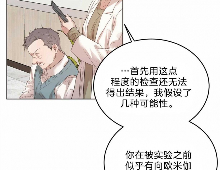 《柳树浪漫史》漫画最新章节第90话免费下拉式在线观看章节第【33】张图片