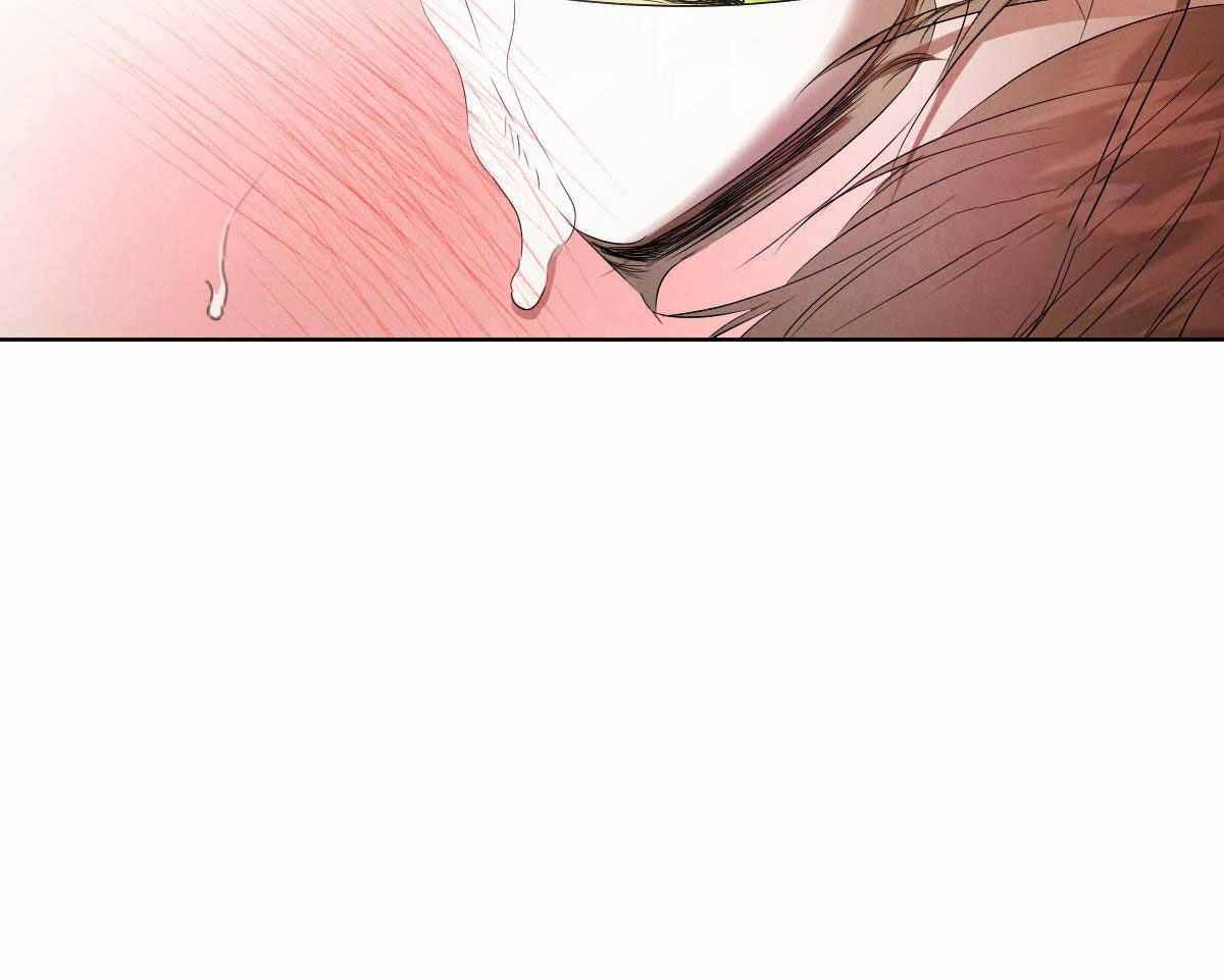 《柳树浪漫史》漫画最新章节第144话免费下拉式在线观看章节第【17】张图片