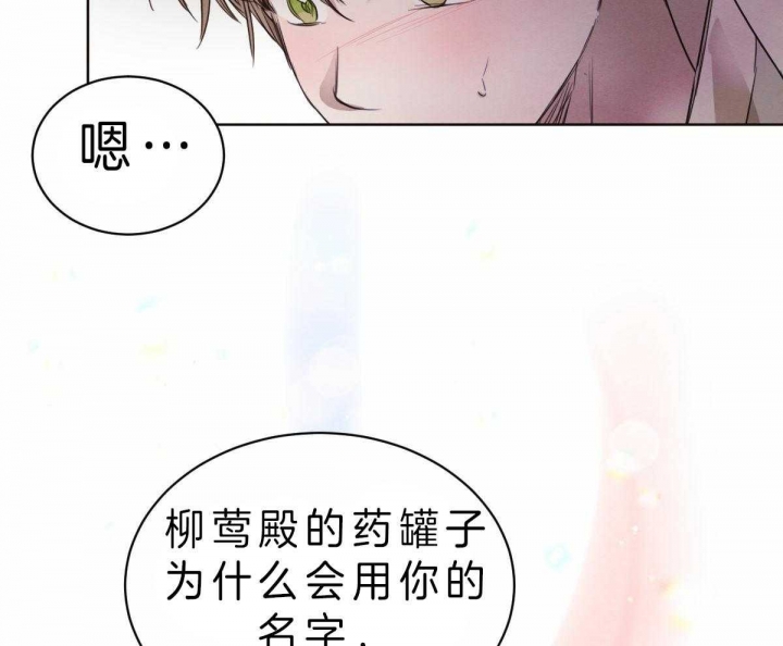 《柳树浪漫史》漫画最新章节第61话免费下拉式在线观看章节第【13】张图片