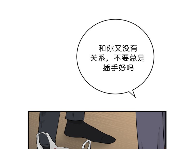 《柳树浪漫史》漫画最新章节第30话免费下拉式在线观看章节第【3】张图片