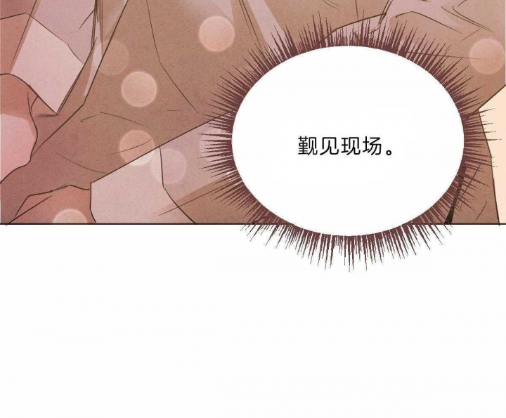 《柳树浪漫史》漫画最新章节第73话免费下拉式在线观看章节第【35】张图片