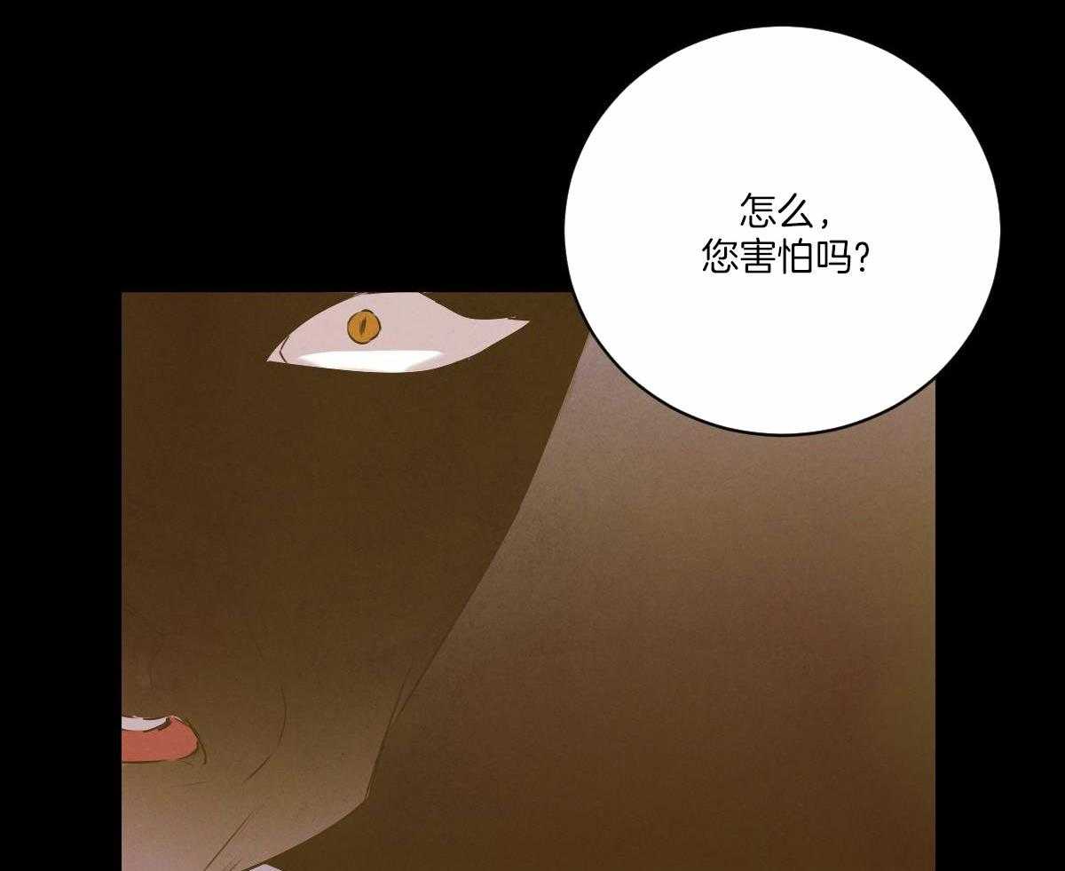 《柳树浪漫史》漫画最新章节第132话免费下拉式在线观看章节第【41】张图片