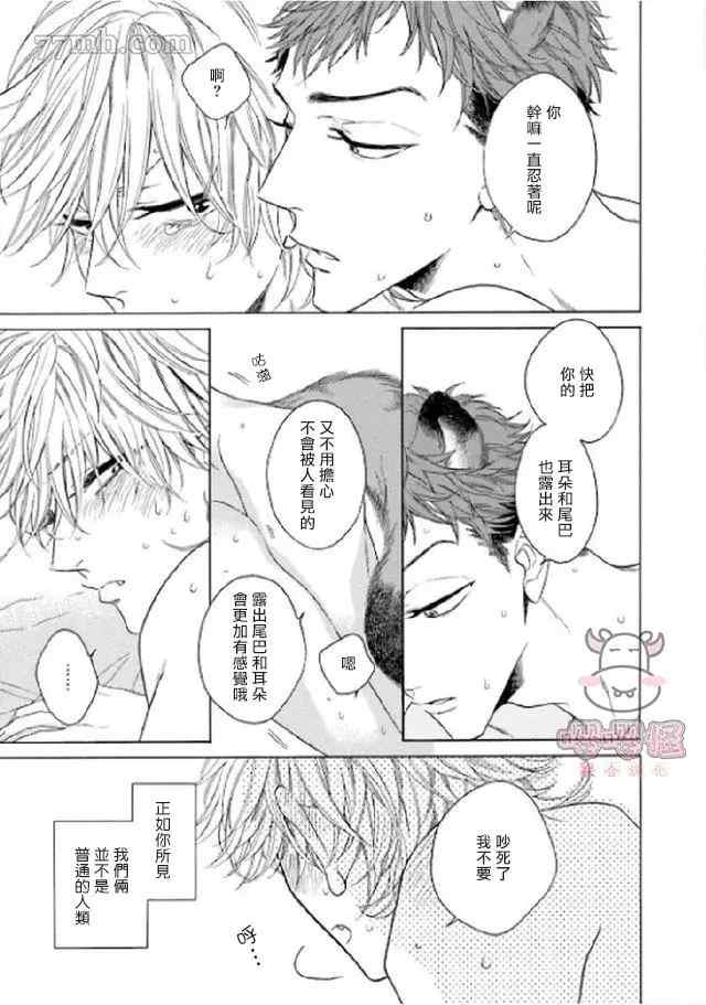 《狐貍先生来恋爱吧！》漫画最新章节第4话免费下拉式在线观看章节第【3】张图片