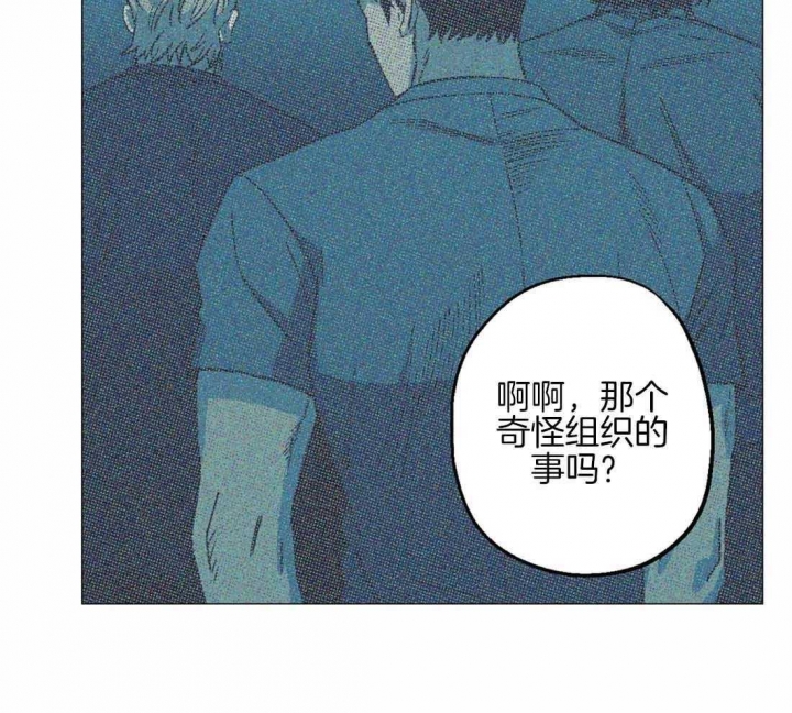 《坠入爱河的杀手(完结)》漫画最新章节第63话免费下拉式在线观看章节第【17】张图片