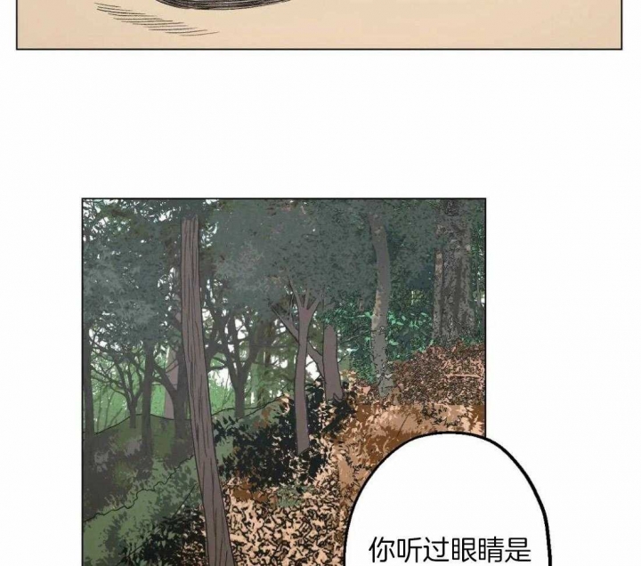 《坠入爱河的杀手(完结)》漫画最新章节第31话免费下拉式在线观看章节第【9】张图片