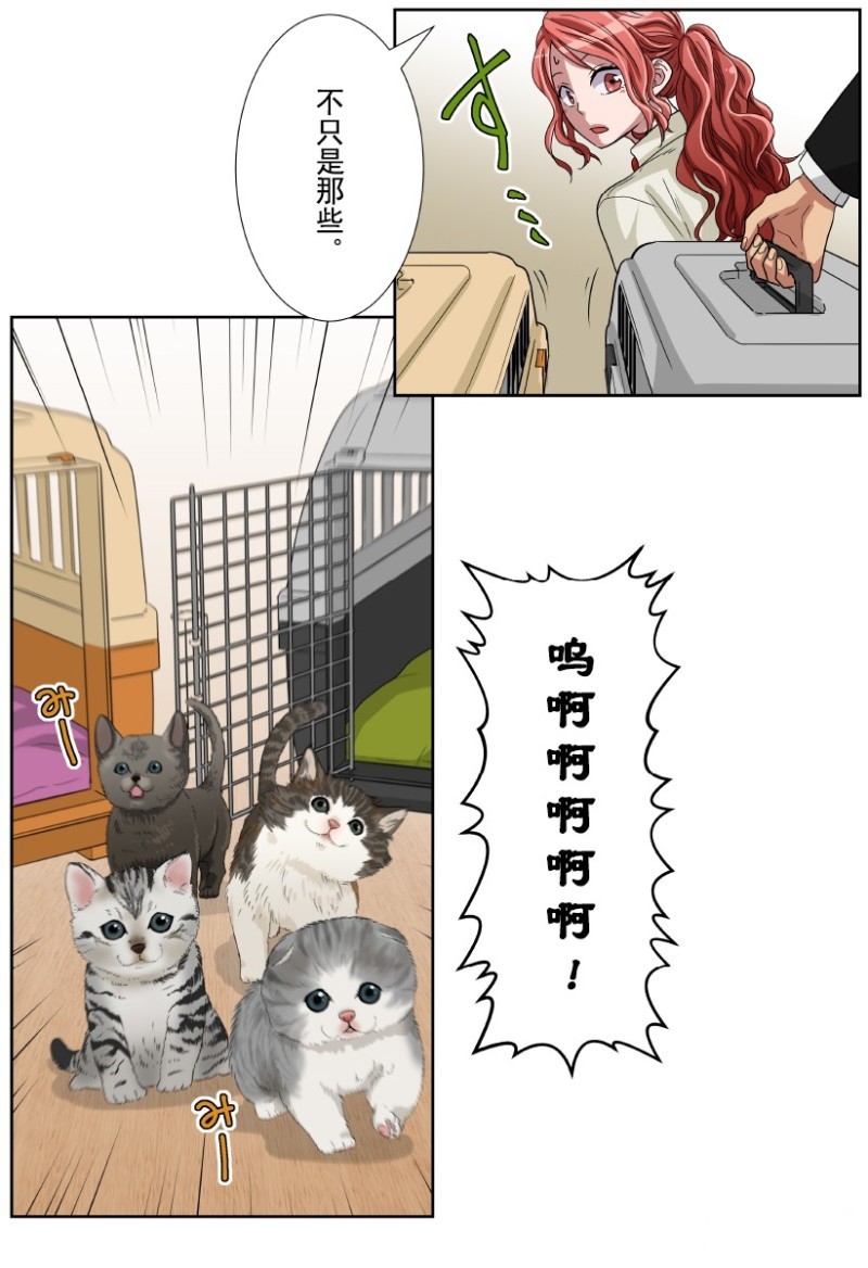 《浪漫杀手》漫画最新章节第19话免费下拉式在线观看章节第【8】张图片