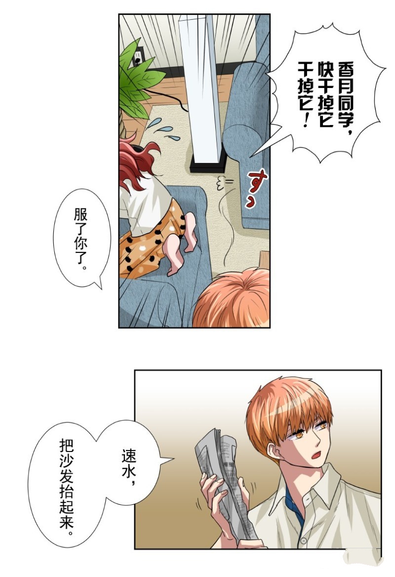 《浪漫杀手》漫画最新章节第21话免费下拉式在线观看章节第【30】张图片