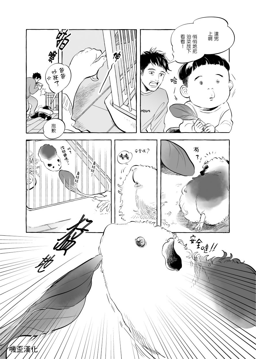 《Guinea Pig Room Tour》漫画最新章节第1话免费下拉式在线观看章节第【18】张图片