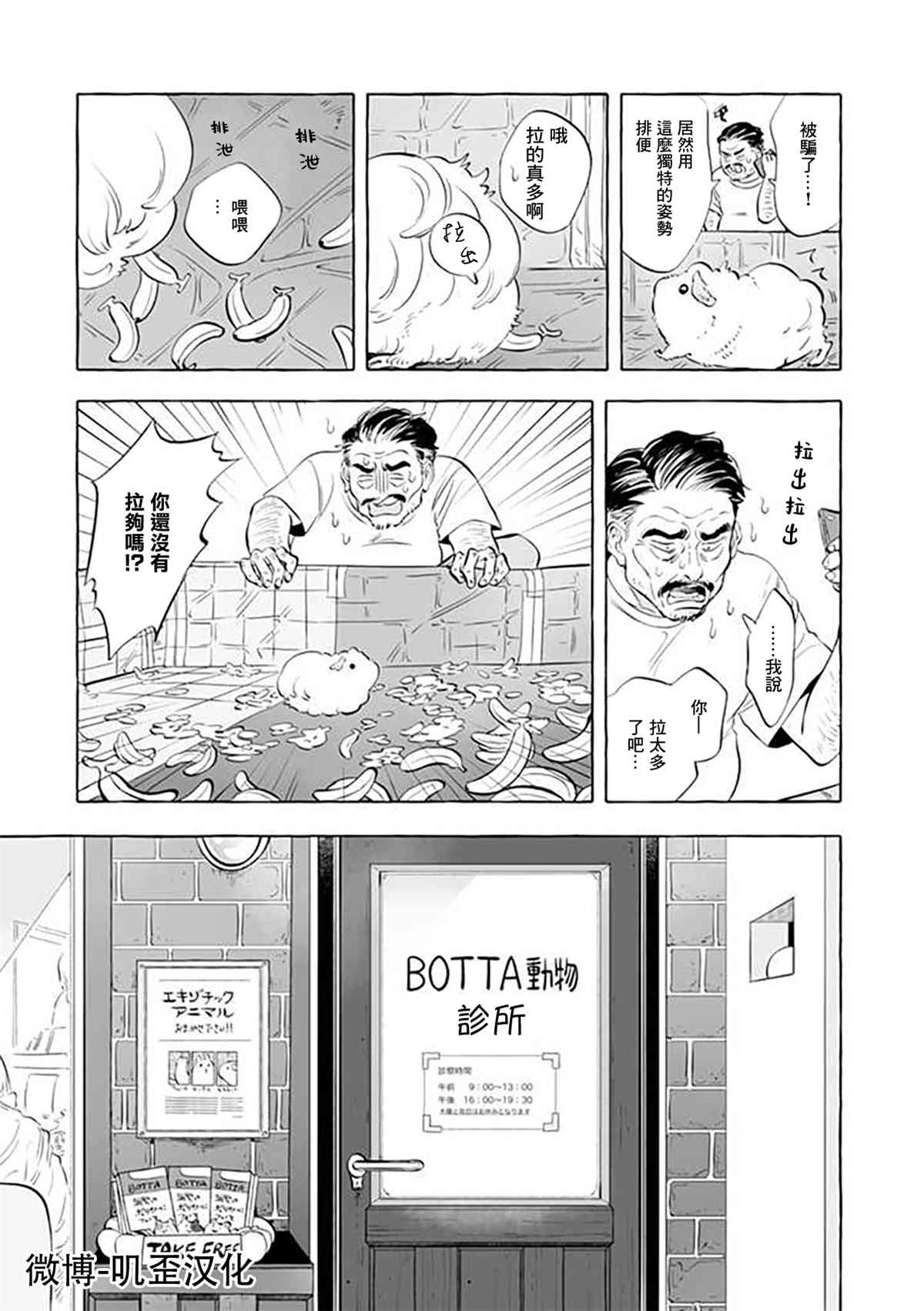 《Guinea Pig Room Tour》漫画最新章节第3话免费下拉式在线观看章节第【9】张图片