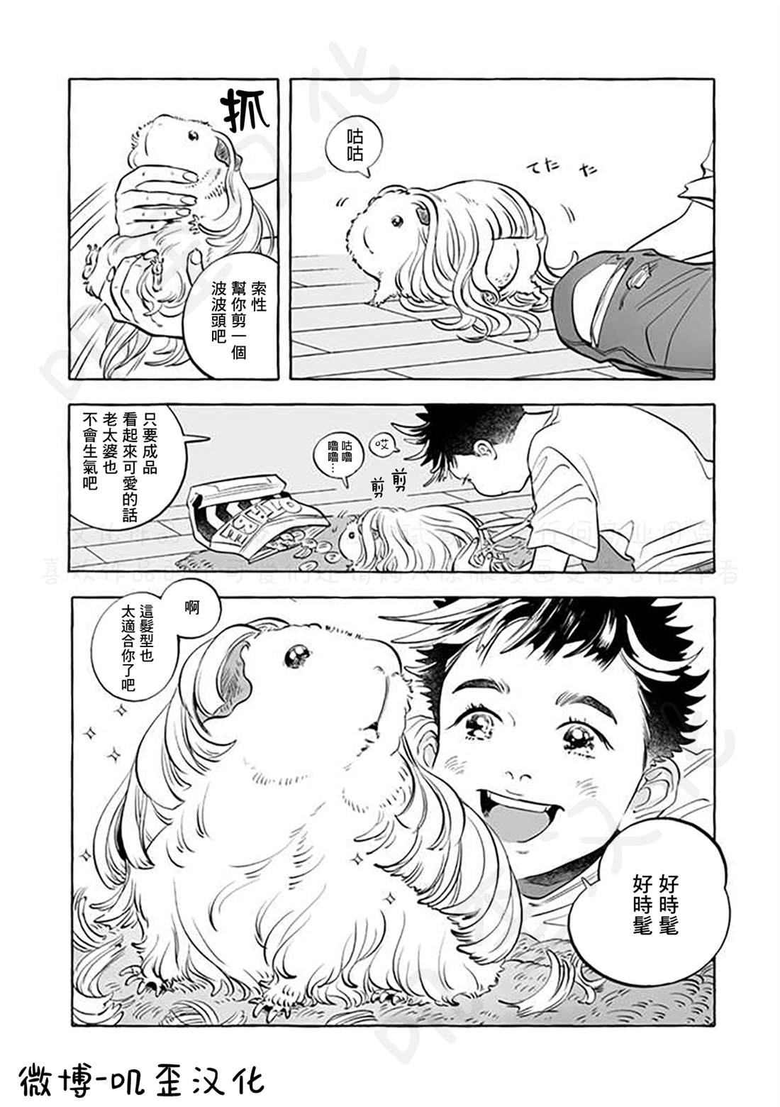 《Guinea Pig Room Tour》漫画最新章节第5话免费下拉式在线观看章节第【7】张图片
