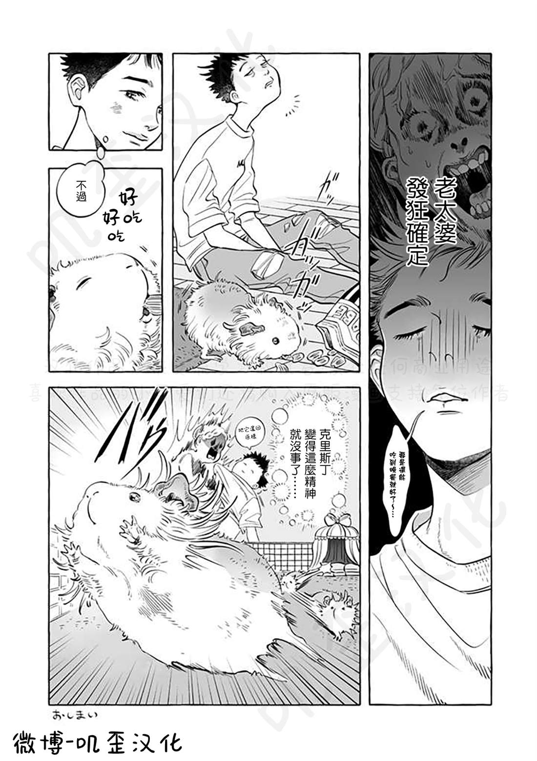 《Guinea Pig Room Tour》漫画最新章节第5话免费下拉式在线观看章节第【11】张图片