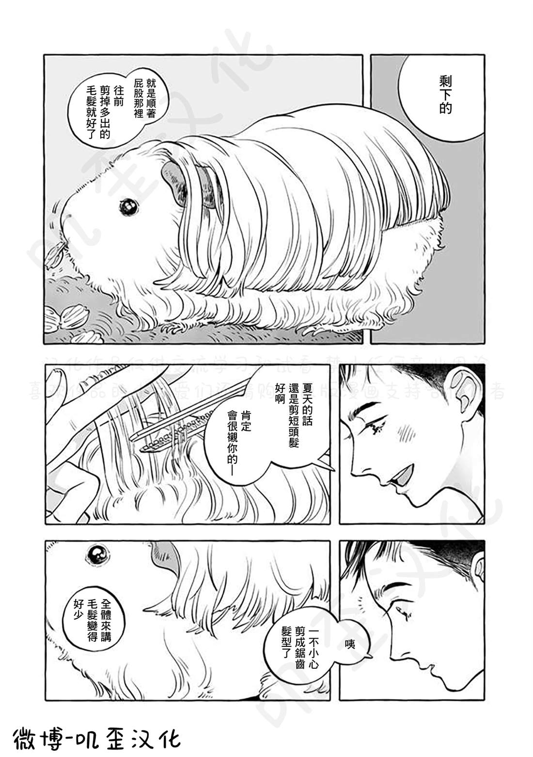 《Guinea Pig Room Tour》漫画最新章节第5话免费下拉式在线观看章节第【8】张图片
