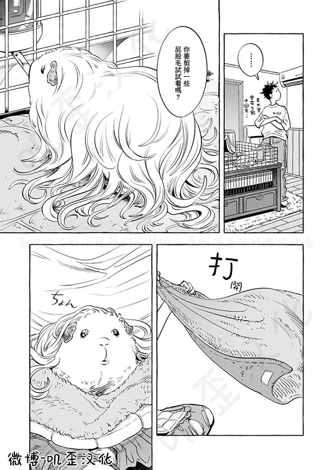 《Guinea Pig Room Tour》漫画最新章节第5话免费下拉式在线观看章节第【5】张图片