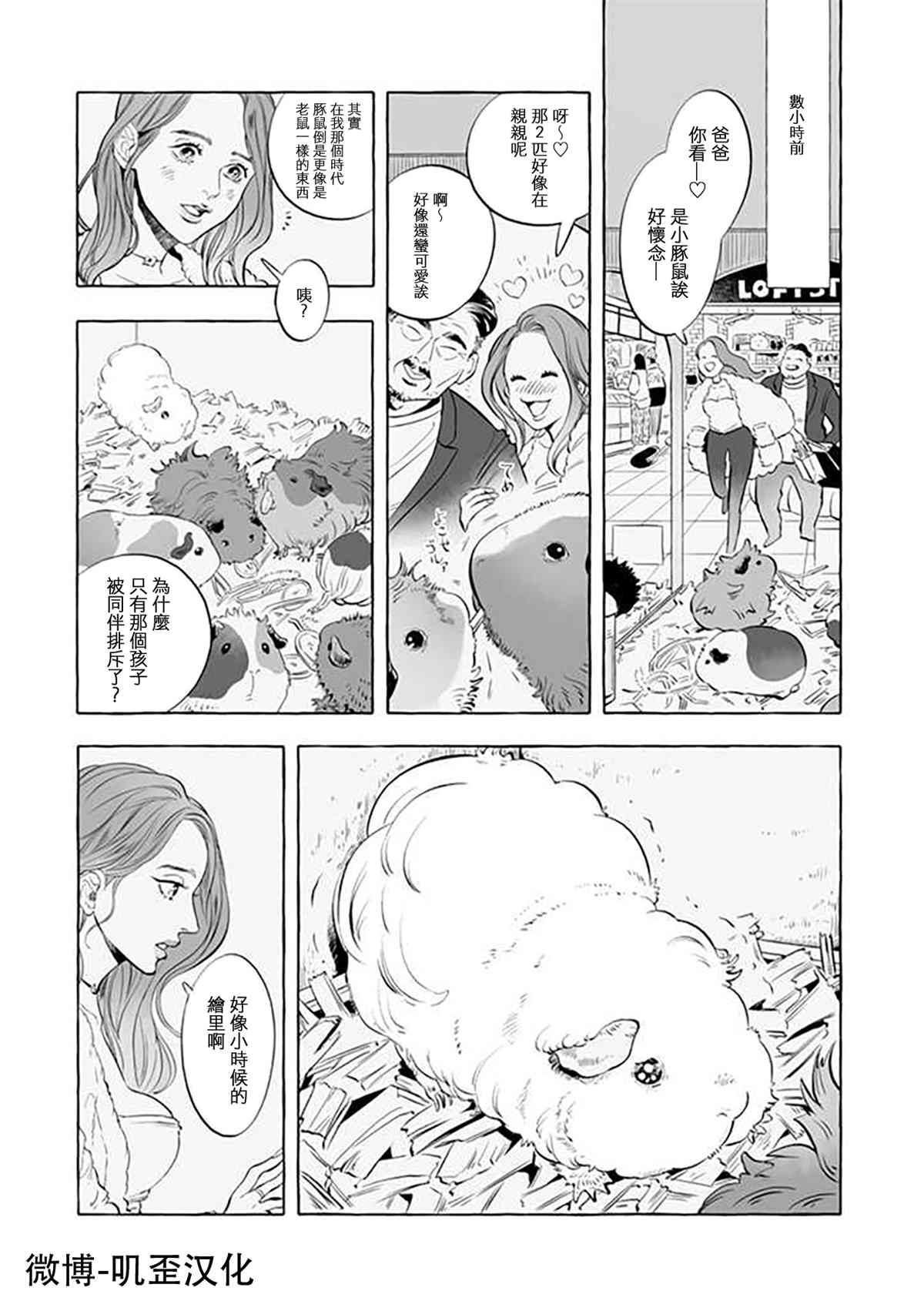 《Guinea Pig Room Tour》漫画最新章节第3话免费下拉式在线观看章节第【3】张图片