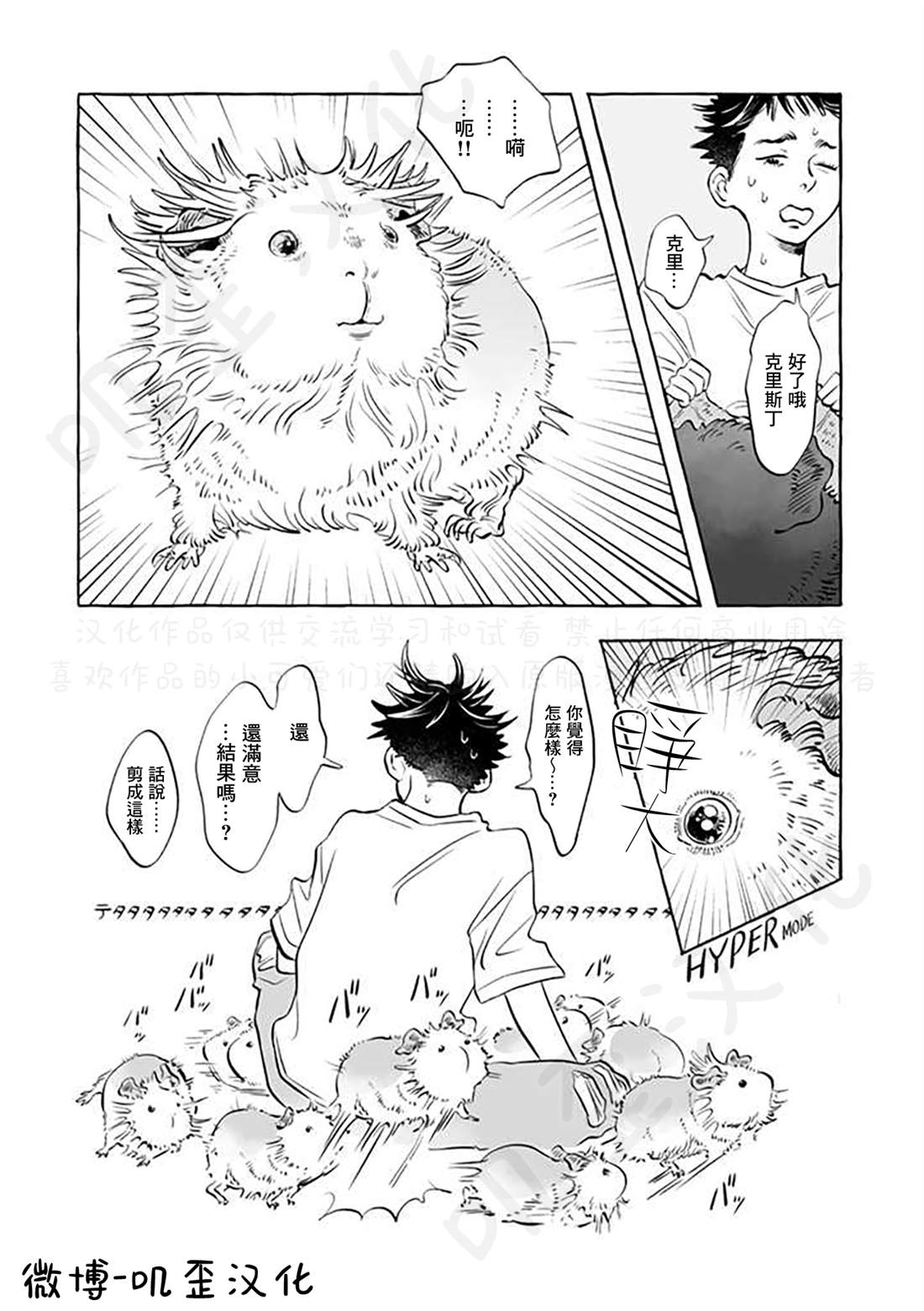 《Guinea Pig Room Tour》漫画最新章节第5话免费下拉式在线观看章节第【10】张图片