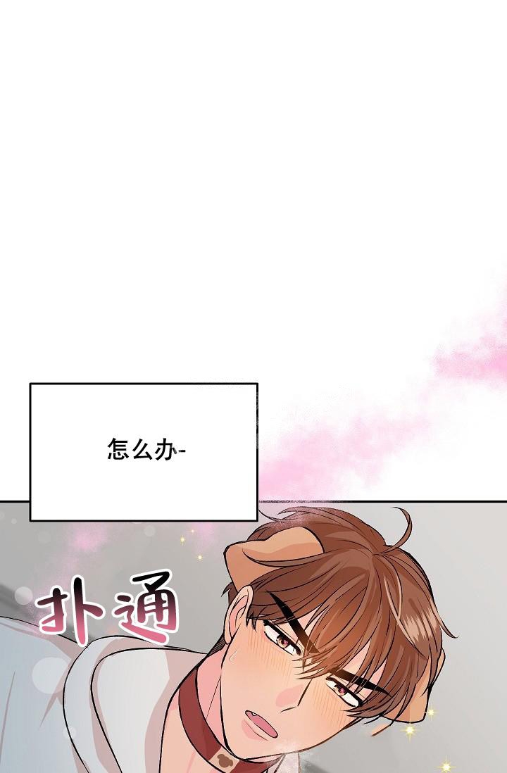 《爱的合集》漫画最新章节第23话免费下拉式在线观看章节第【19】张图片