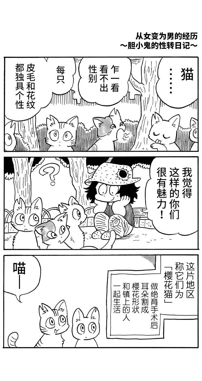 《胆小鬼的转换日记》漫画最新章节第33话免费下拉式在线观看章节第【1】张图片