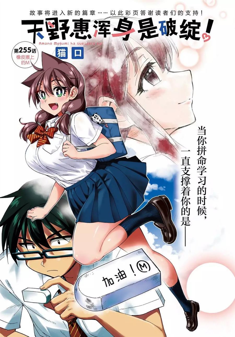 《天野惠浑身是破绽！》漫画最新章节第255话 试看版免费下拉式在线观看章节第【1】张图片