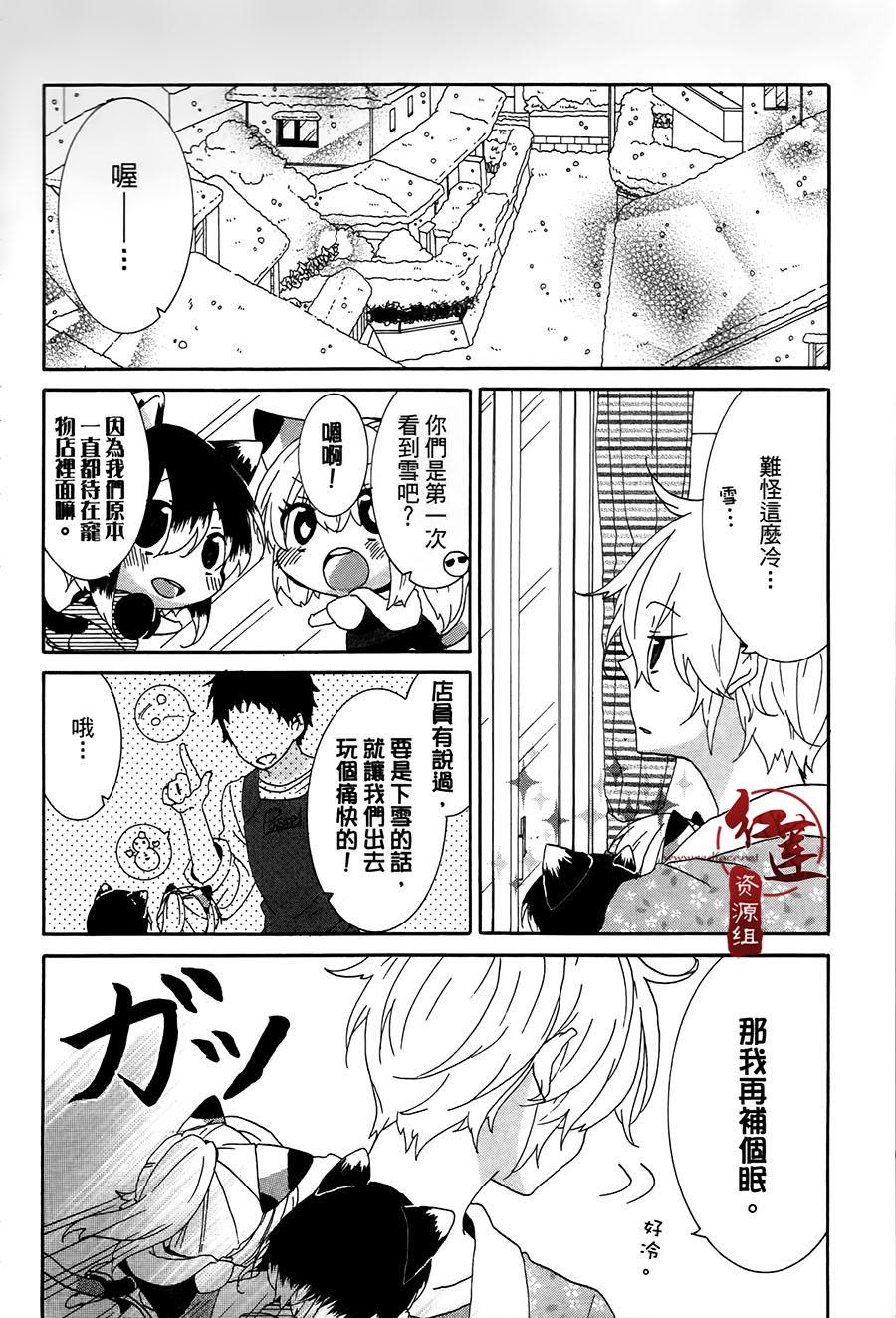 《喵居生活》漫画最新章节第15话免费下拉式在线观看章节第【2】张图片