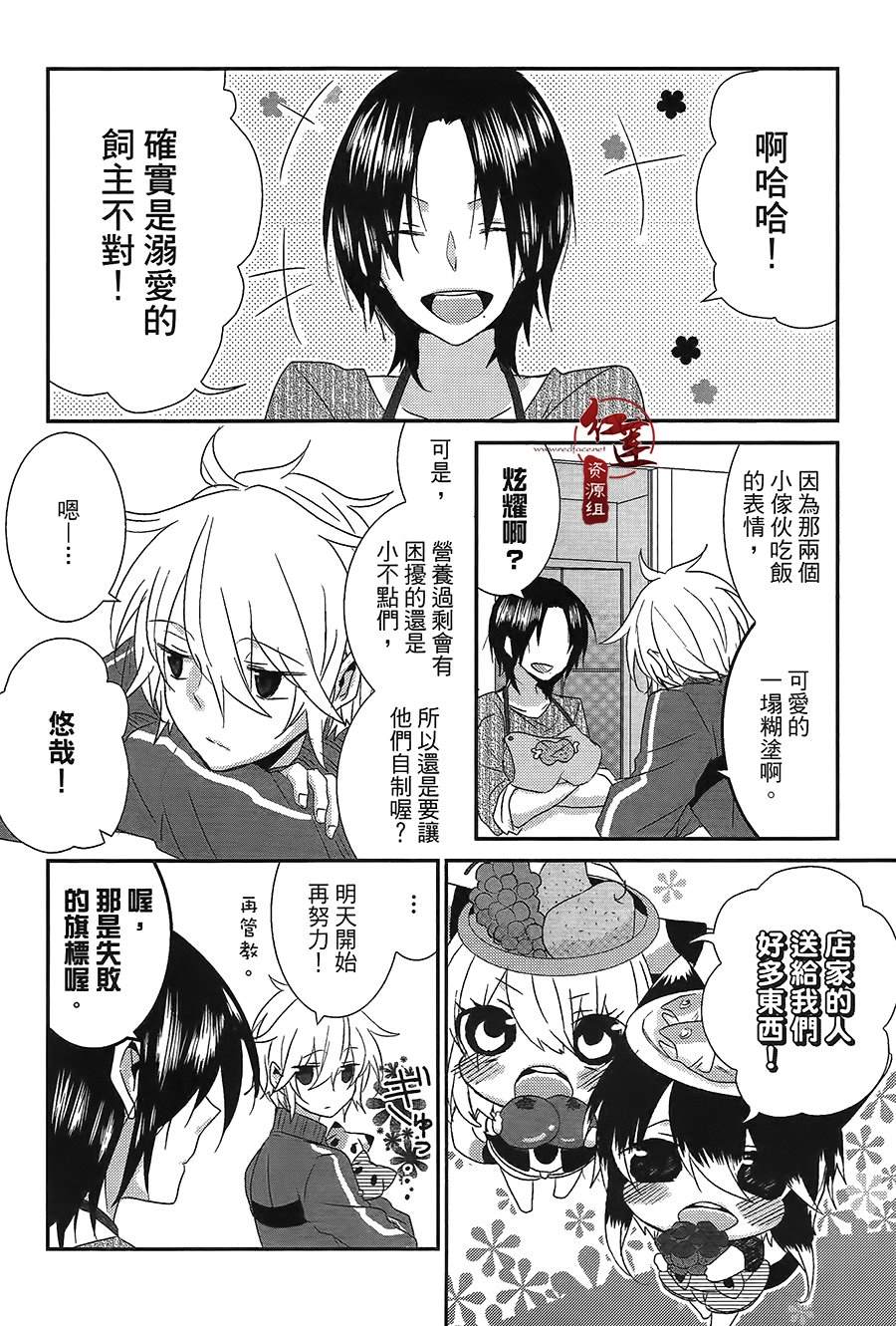 《喵居生活》漫画最新章节第41话免费下拉式在线观看章节第【4】张图片